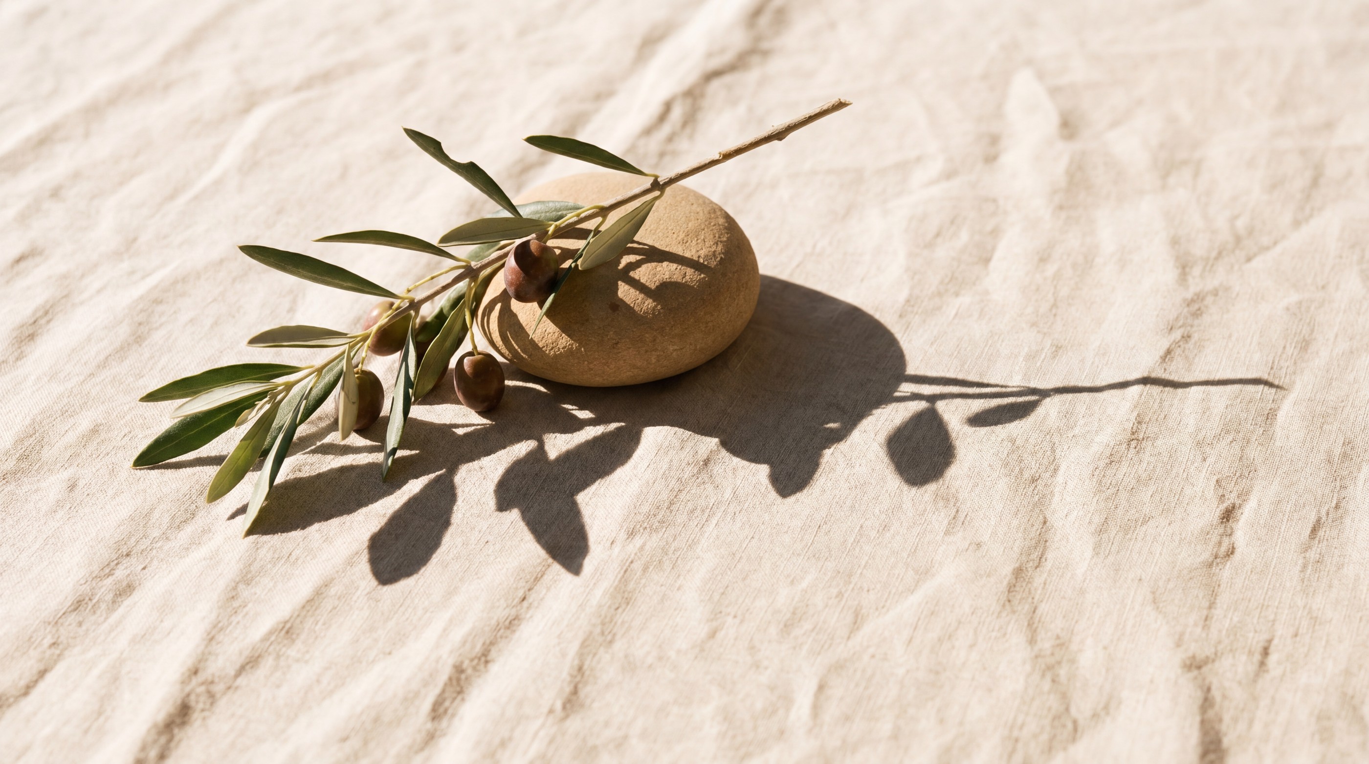 Olive still life in Mediterranean light