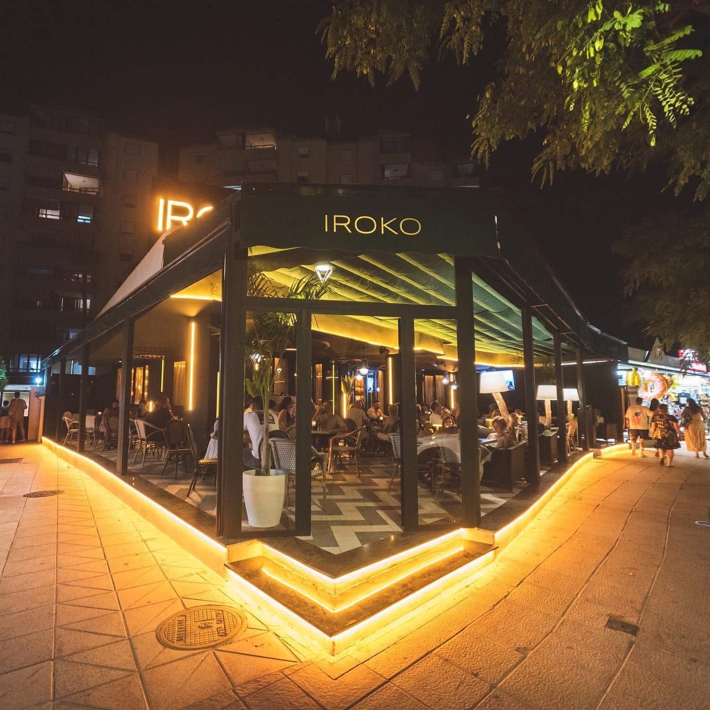 Iroko